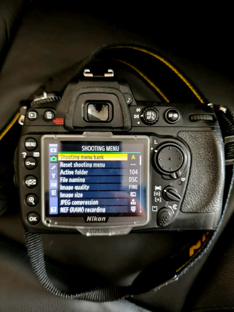 Nikon D300  3k shutter count!! - Image 3