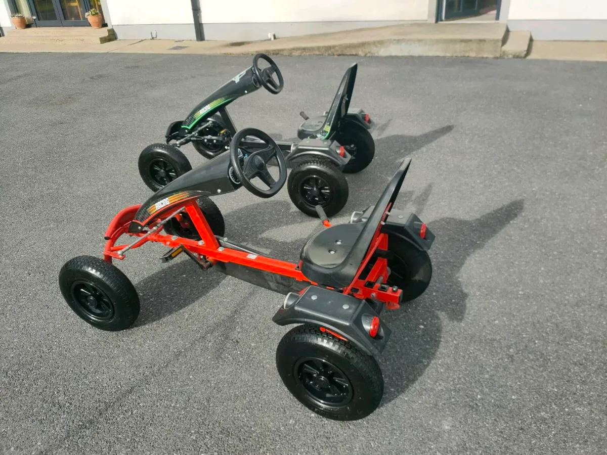 Go Karts for sale - Image 1