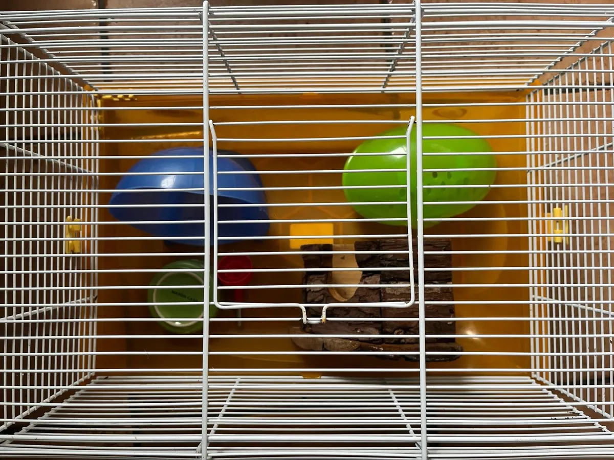 Cage home & accessories for hamster - Image 2