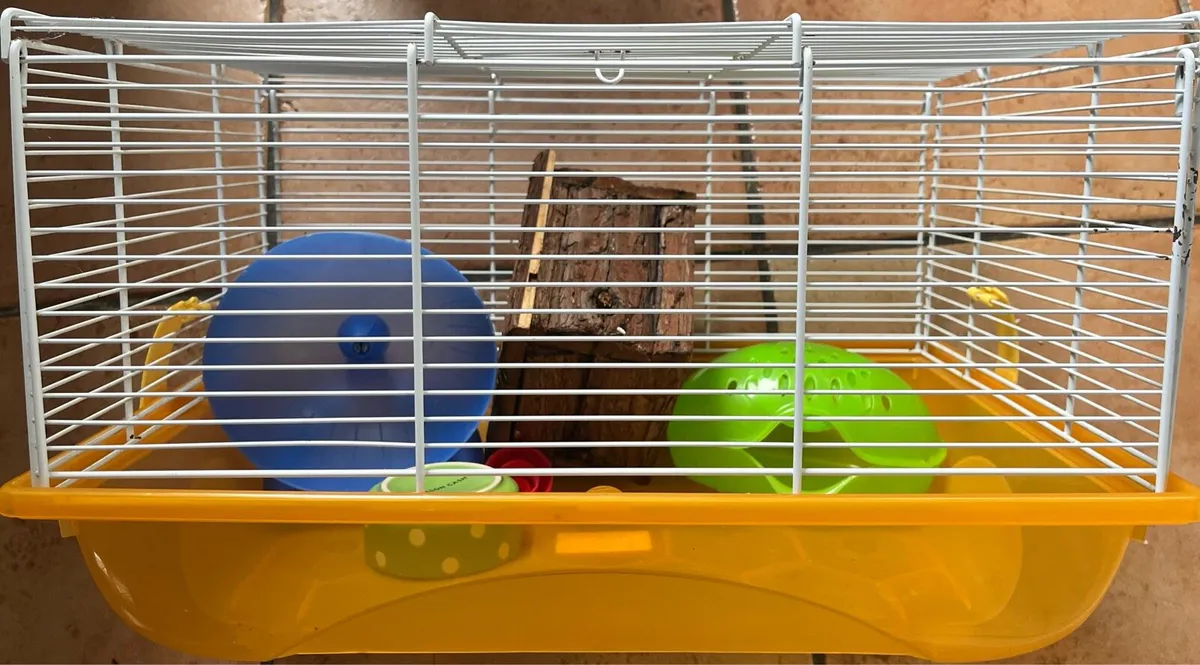 Cage home & accessories for hamster - Image 4