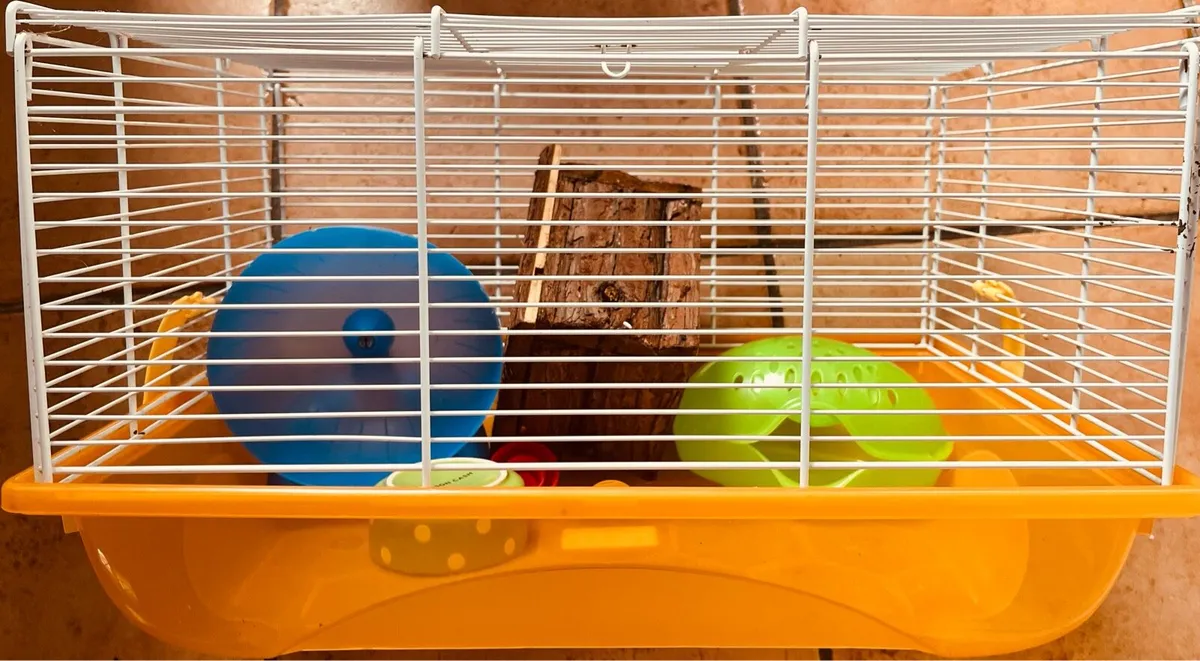 Cage home & accessories for hamster - Image 1