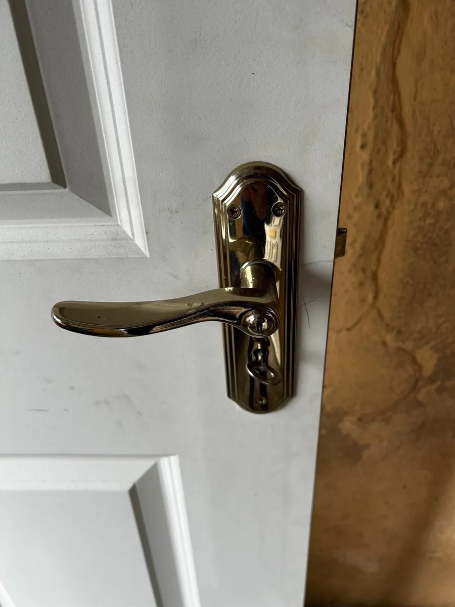 Door for sale - Image 3