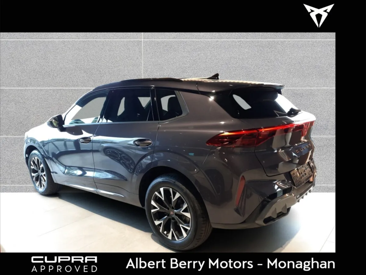 Cupra Terramar 1.5 ETSI 150HP DSG - Image 3