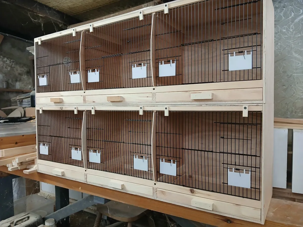 Bird cage's / nest box's . - Image 4