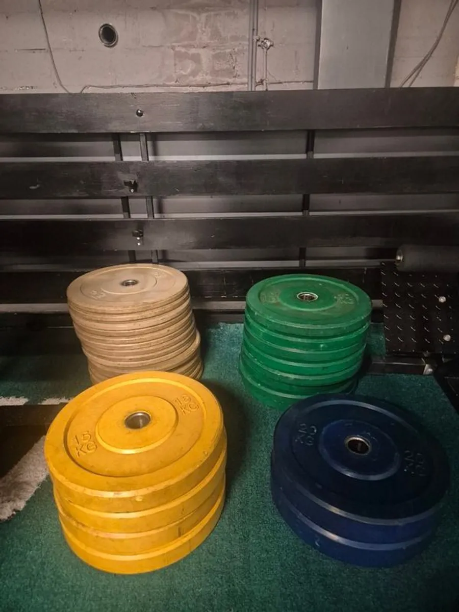 Colored Bumper Plates