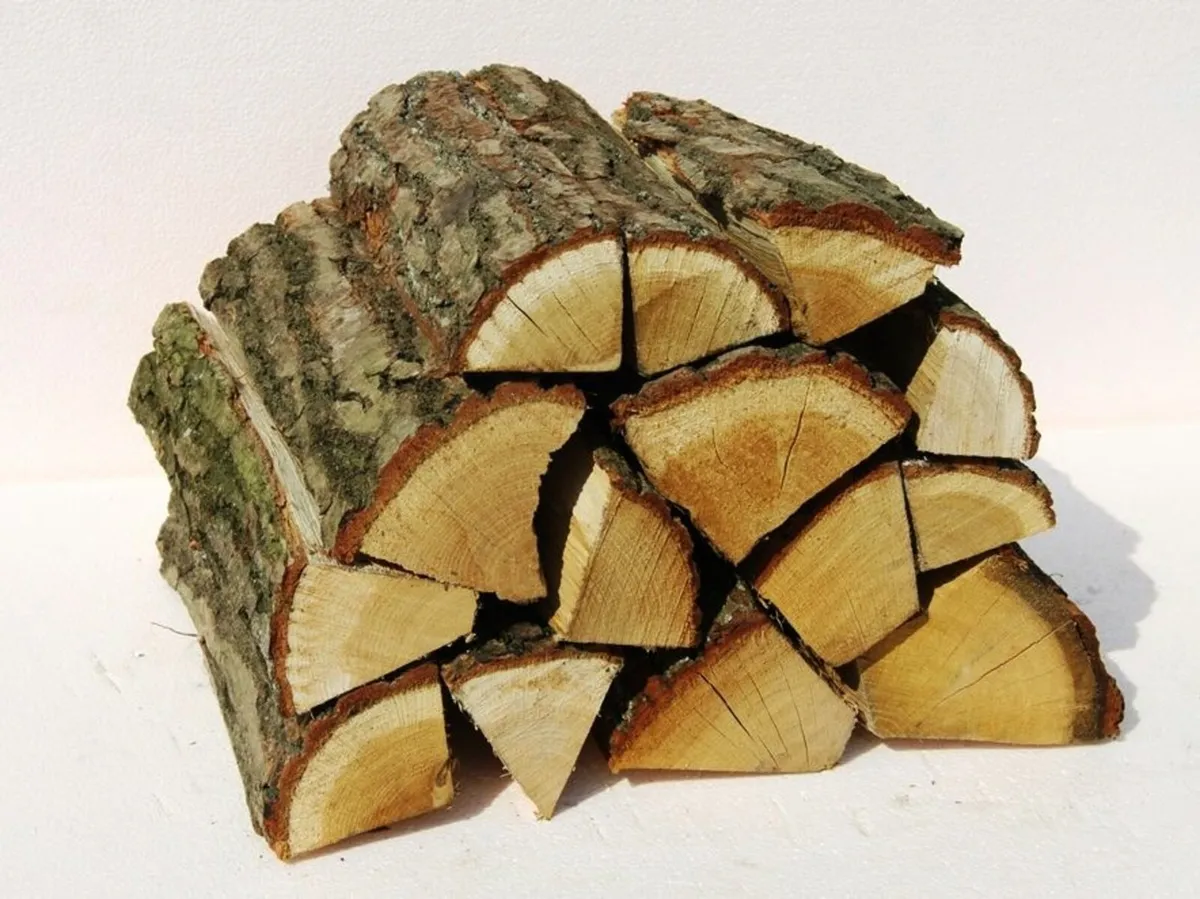 Kiln dried logs in bulk Ash, Oak - Image 4