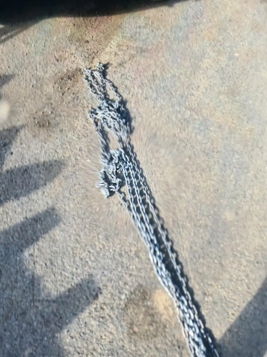 2 tonne chain hoist - Image 3