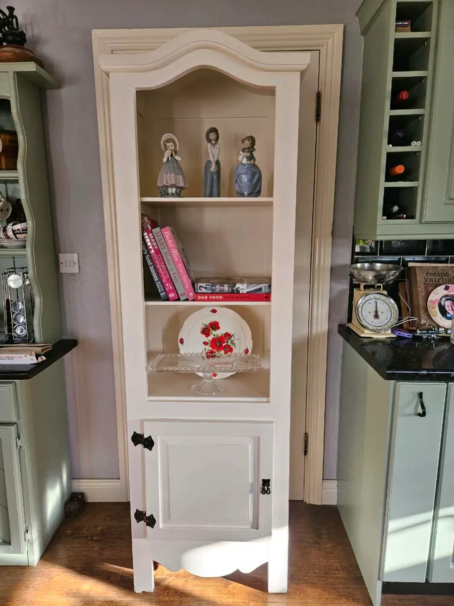 Newly Upstyled Tall Cabinet - Image 1