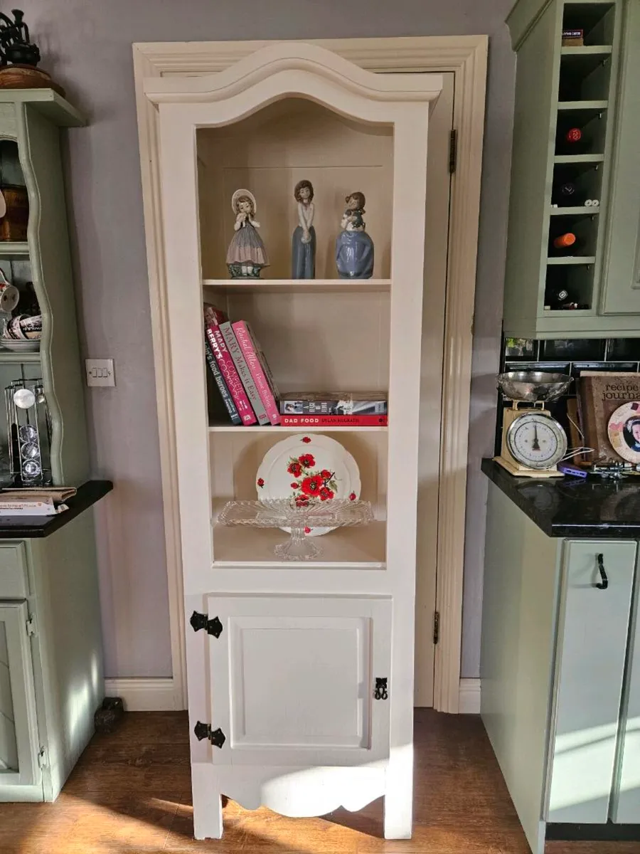 Newly Upstyled Tall Cabinet - Image 4