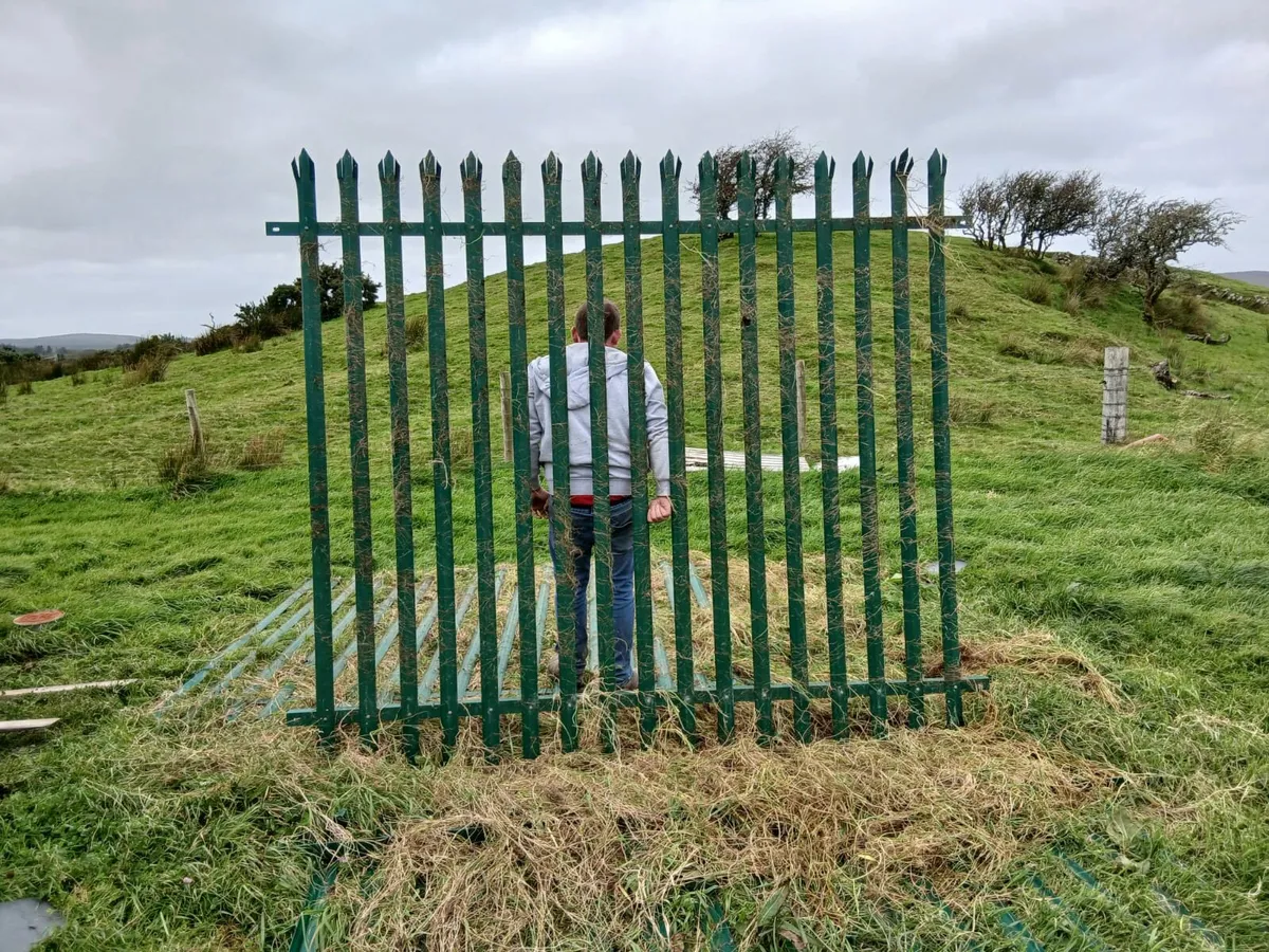 Fence panels /dog pen /fencing - Image 1
