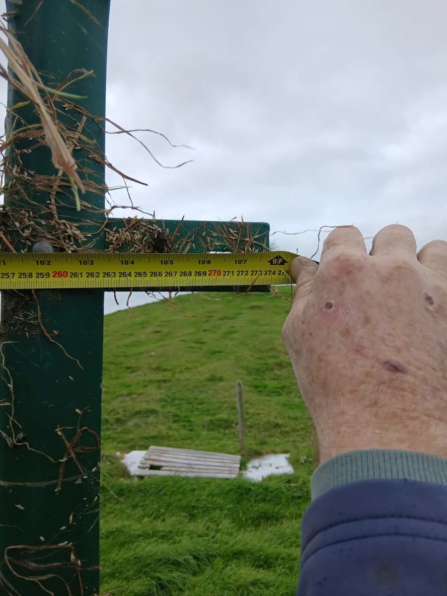 Fence panels /dog pen /fencing - Image 3