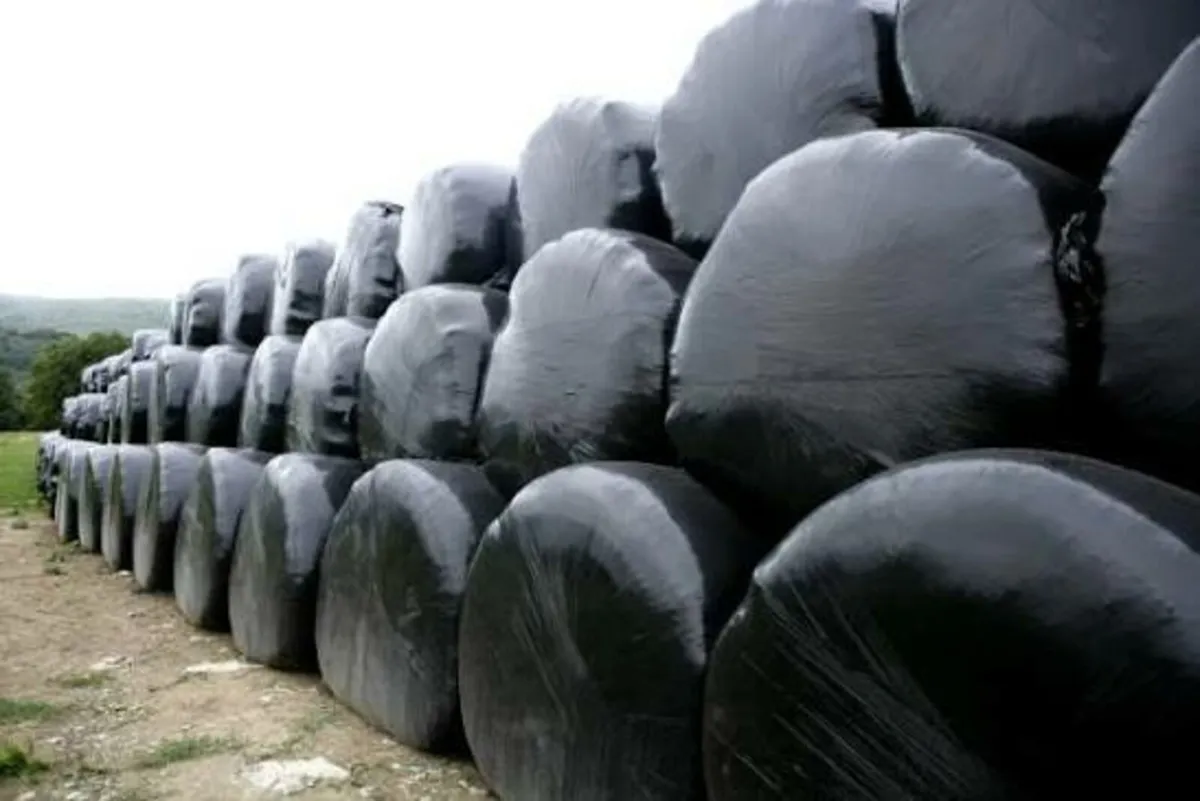 Silage for sale
