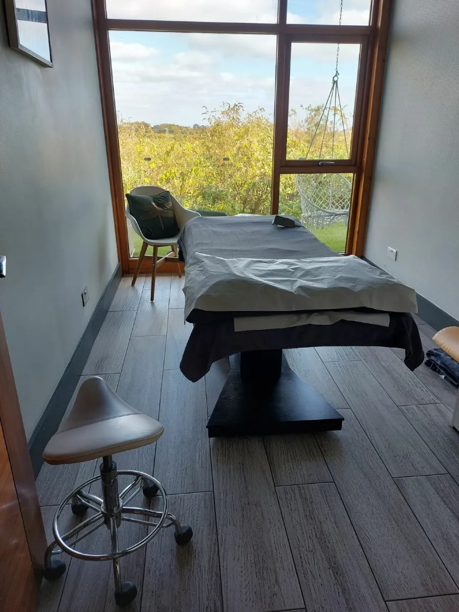 Therapist Treatment Bed - Image 3