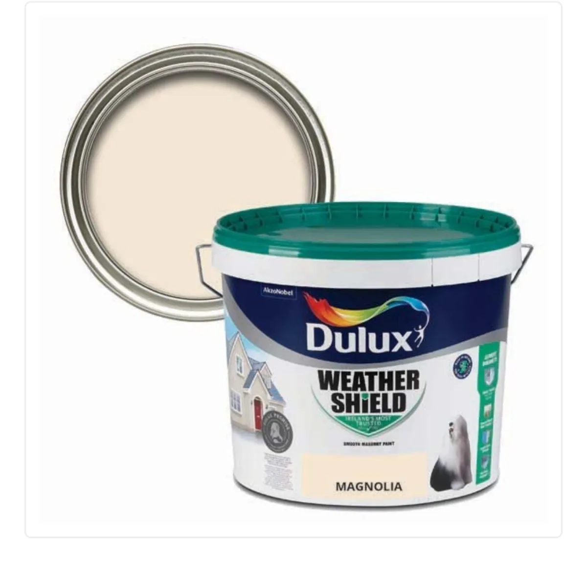 Paint