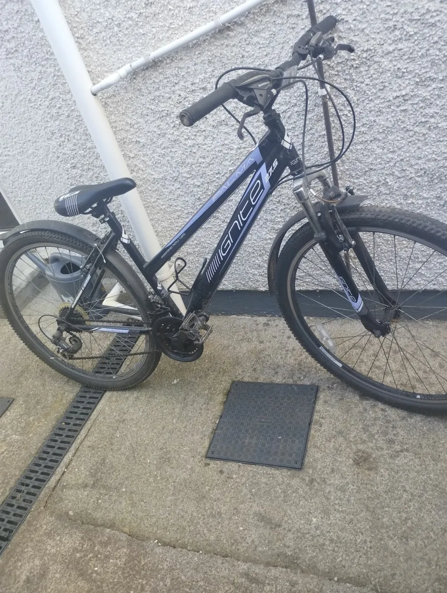 Bike - Image 1
