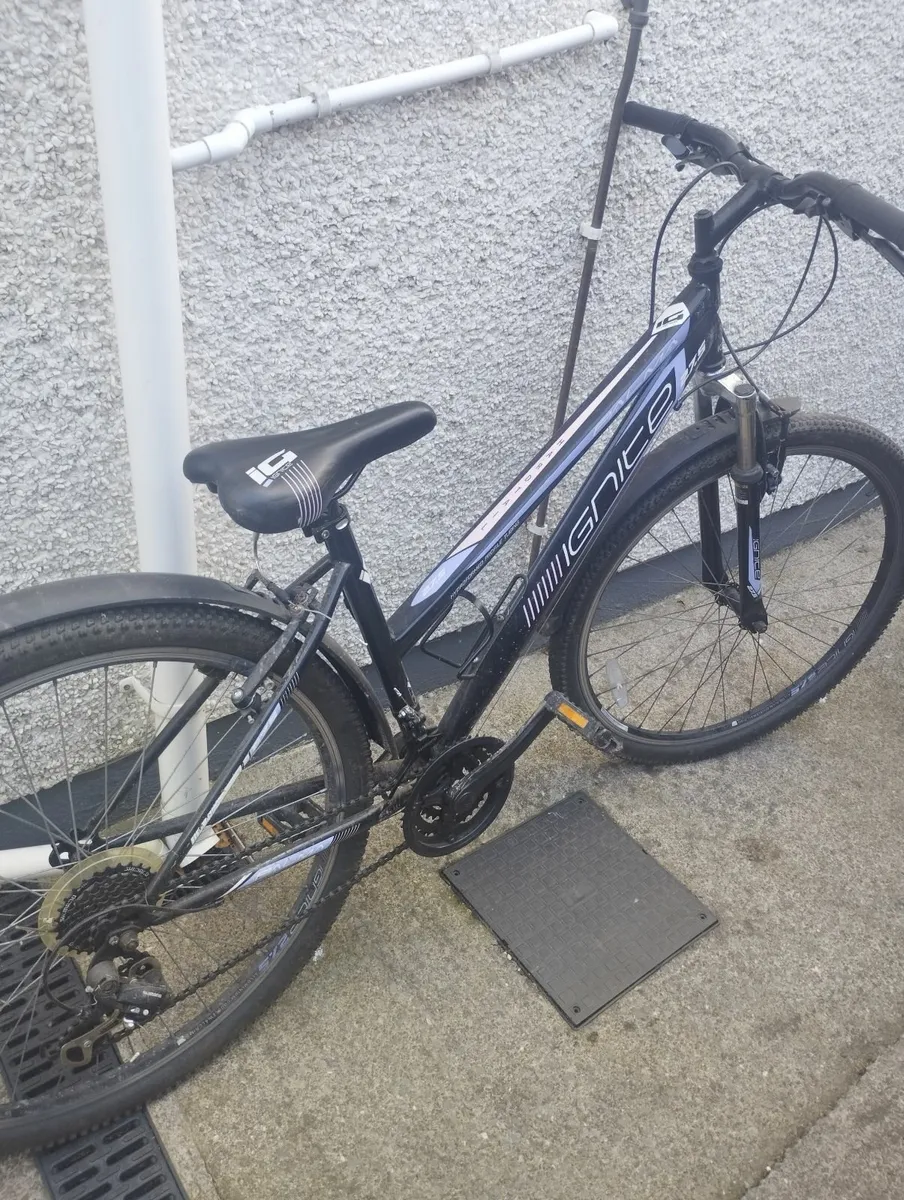 Bike - Image 2