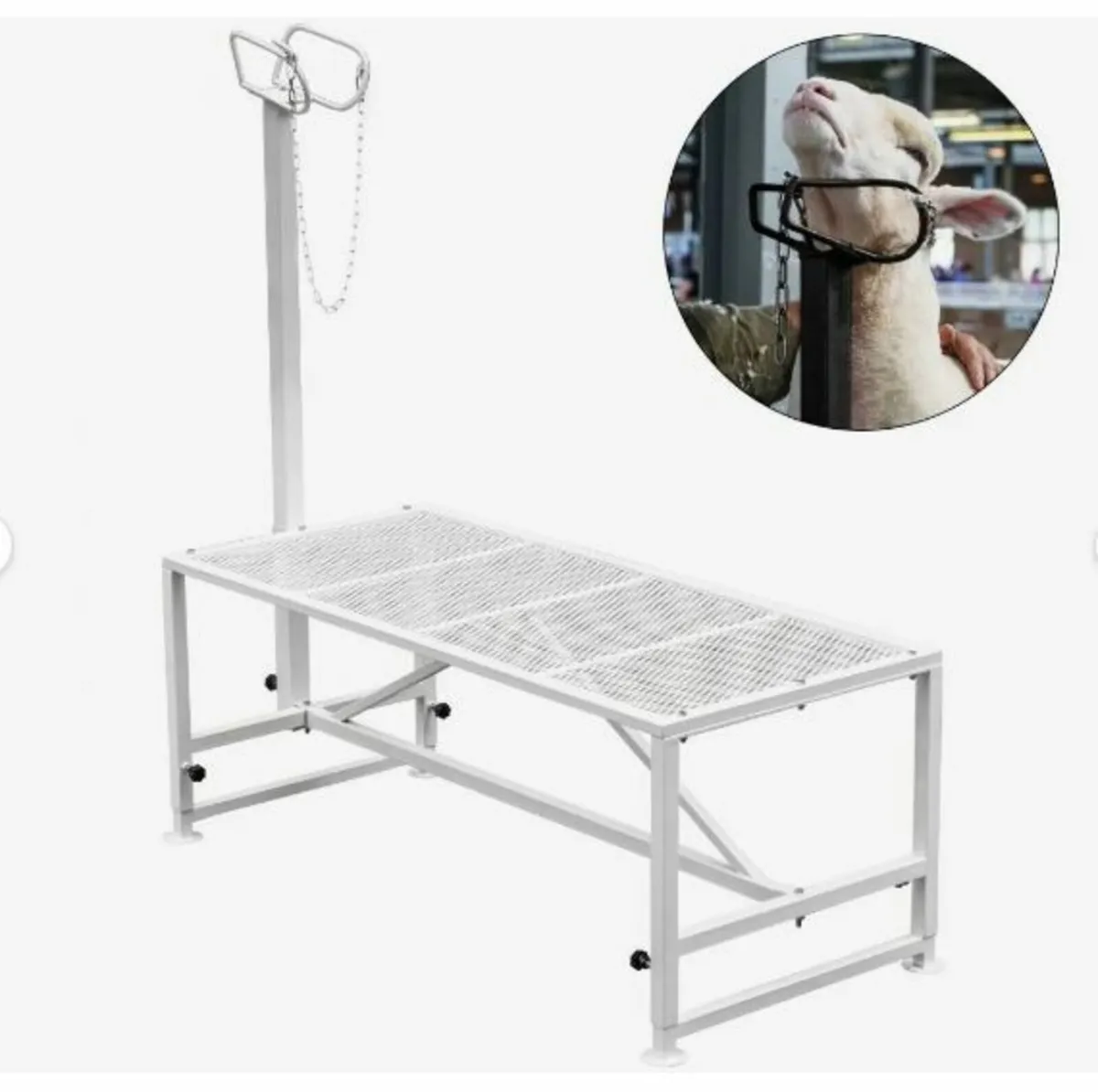 Livestock Stand 51x23 inches - Image 1