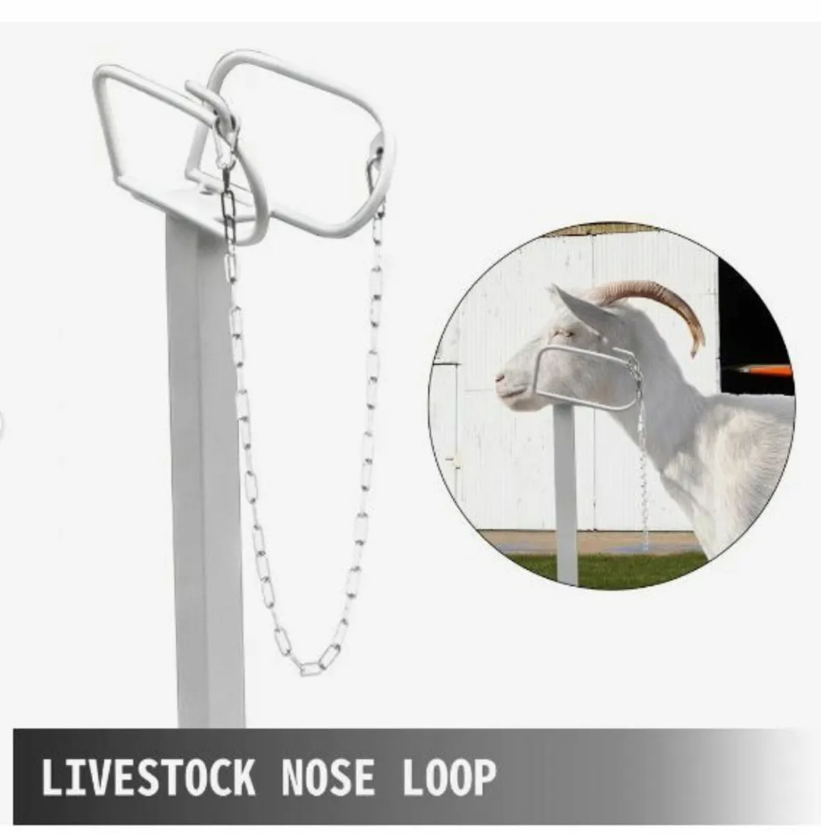 Livestock Stand 51x23 inches - Image 4