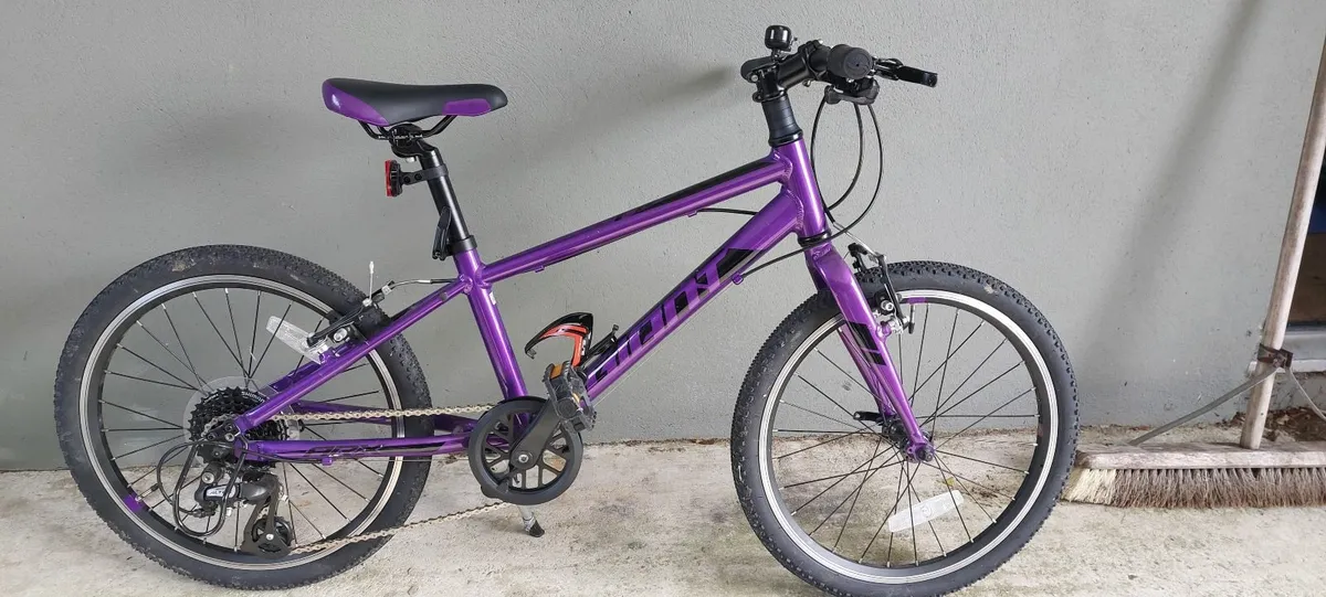 Giant ARX 20 Kid's Bike - Image 4