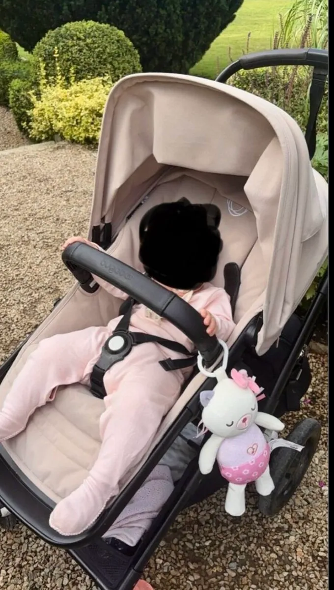 Buggy - Image 2