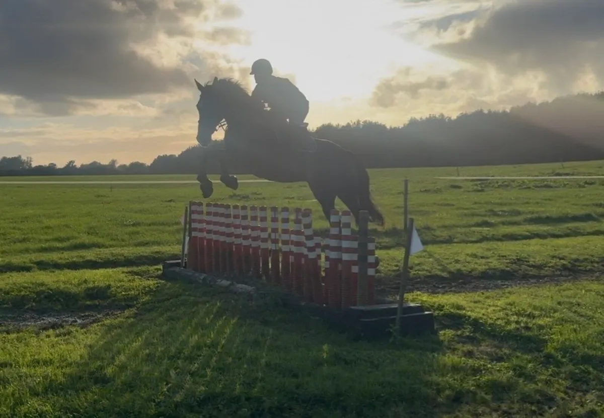 6 yo 16.2h ISH SAFE & EASY/ TALENTED - Image 3