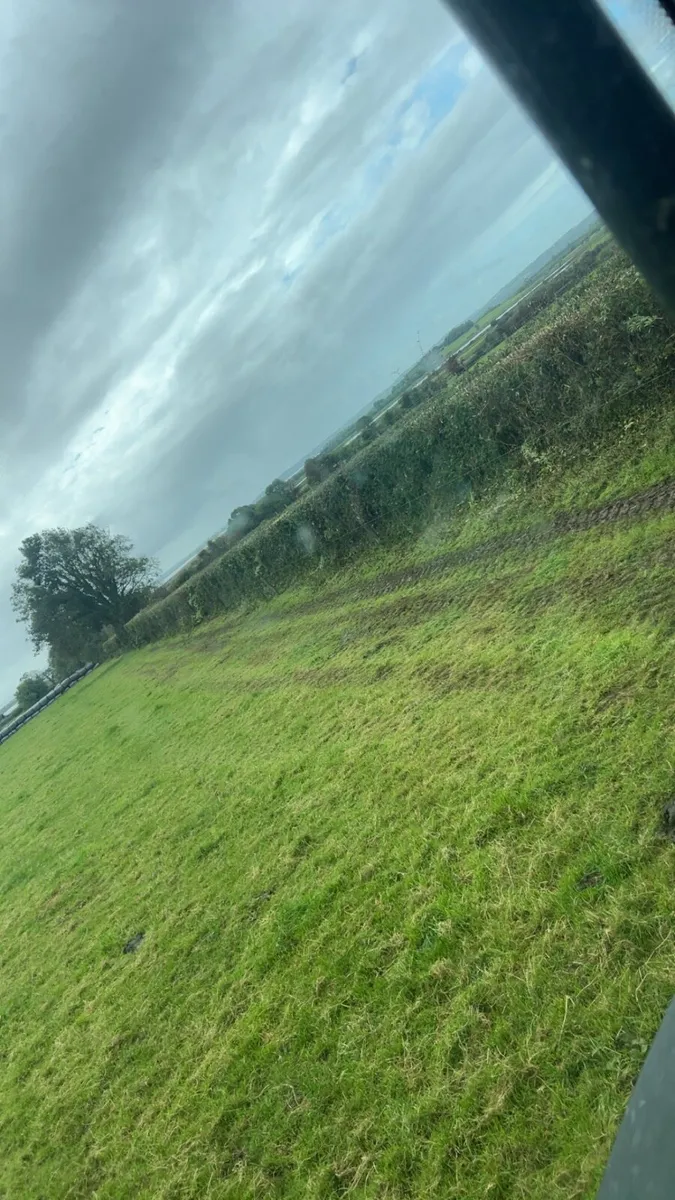 Hedge Cutting Clare Area - Image 2