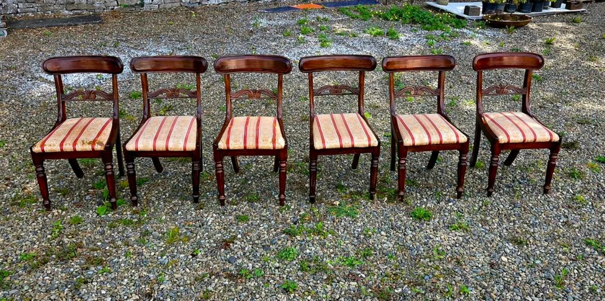 6 very  old  mahogany  chairs - Image 3
