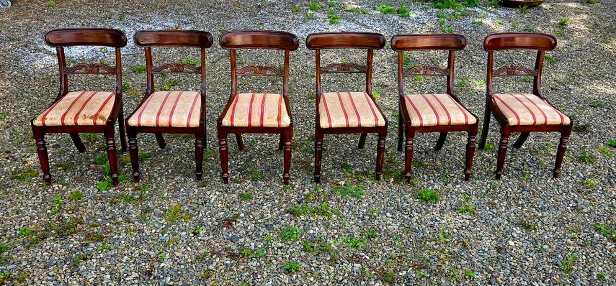 6 very  old  mahogany  chairs - Image 4