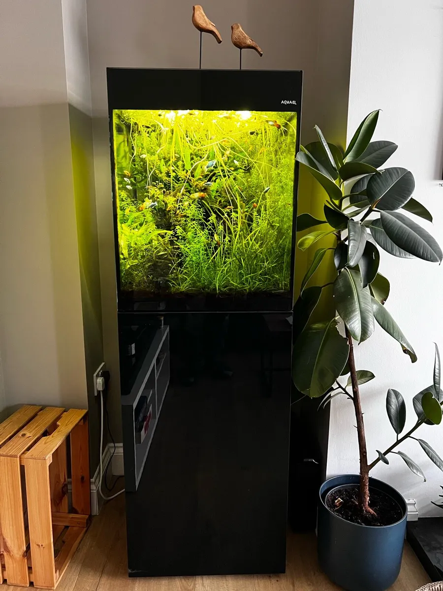 Aquarium for sale - Image 1