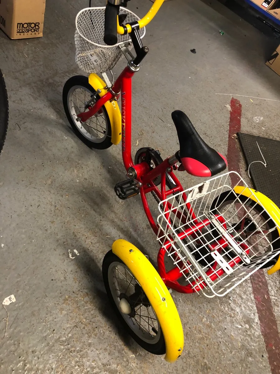 Trike / tricycle/ special needs - Image 2