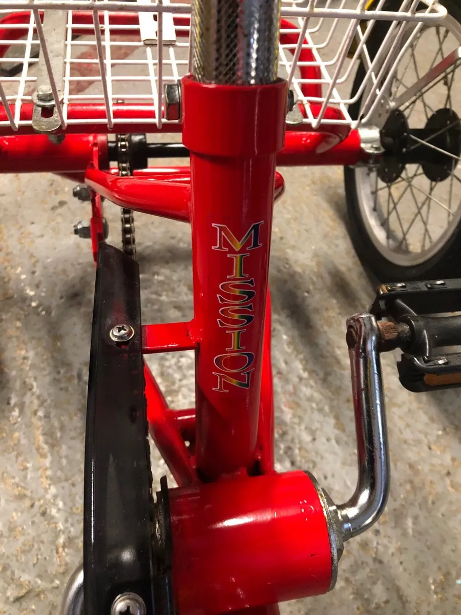 Trike / tricycle/ special needs - Image 4