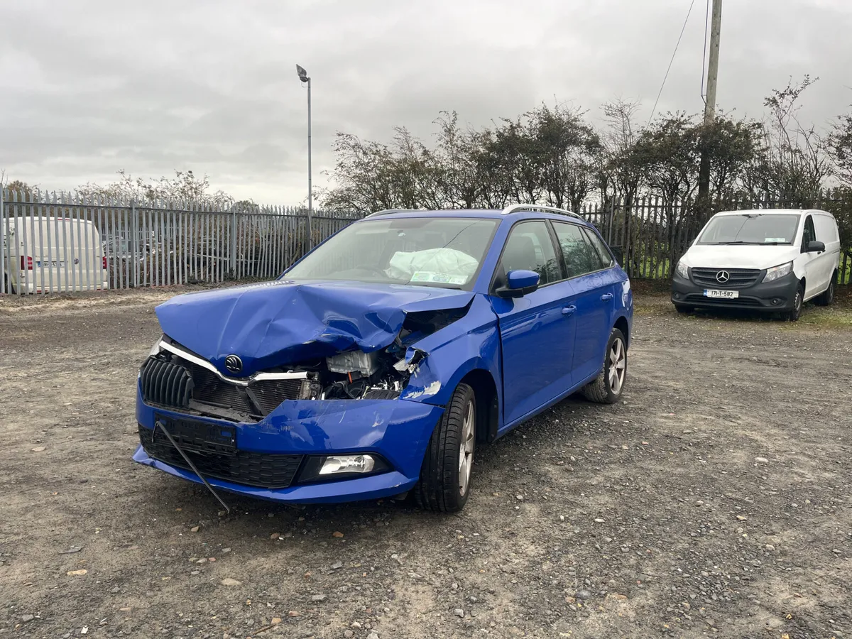 2019 Skoda Fabia Estate - Image 1