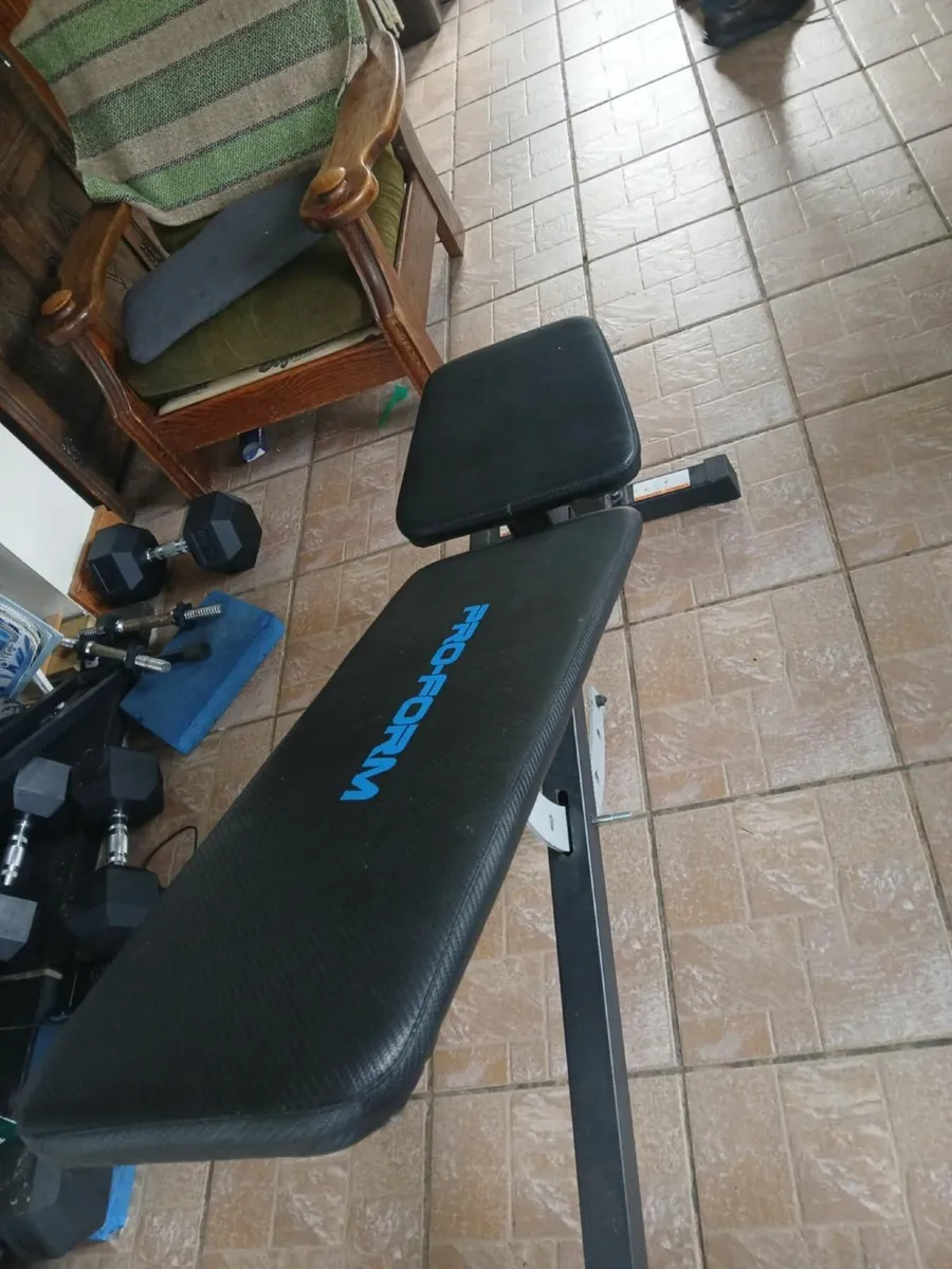 Weights Bench - Image 2