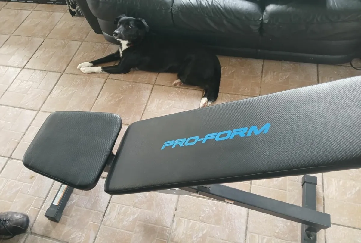 Weights Bench - Image 3