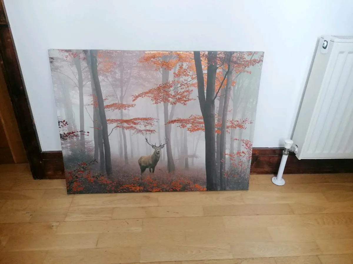 Large Canvas - Image 1