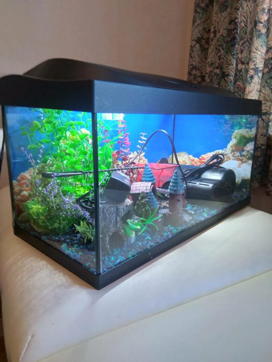 Fish tank - Image 1
