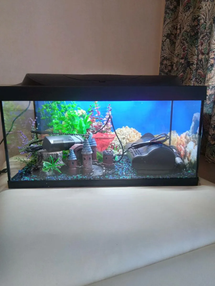 Fish tank - Image 3