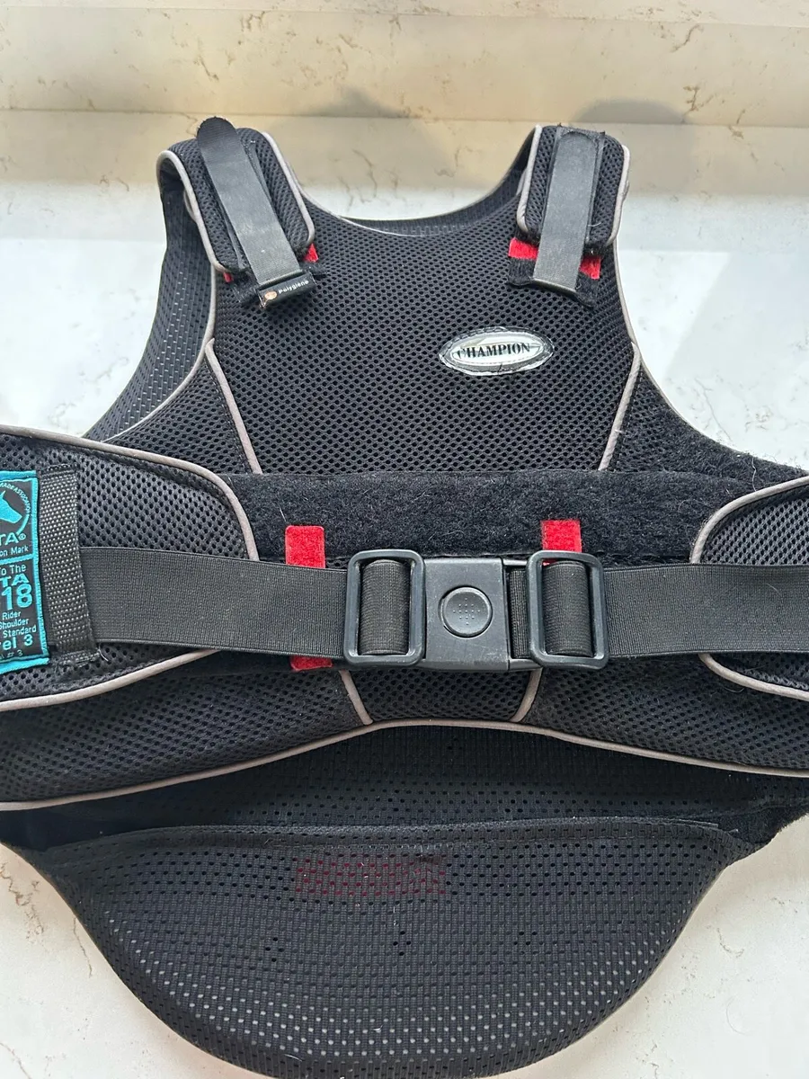 Body protector - Image 1