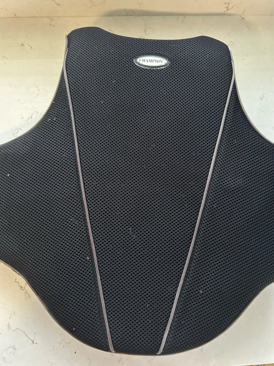 Body protector - Image 2