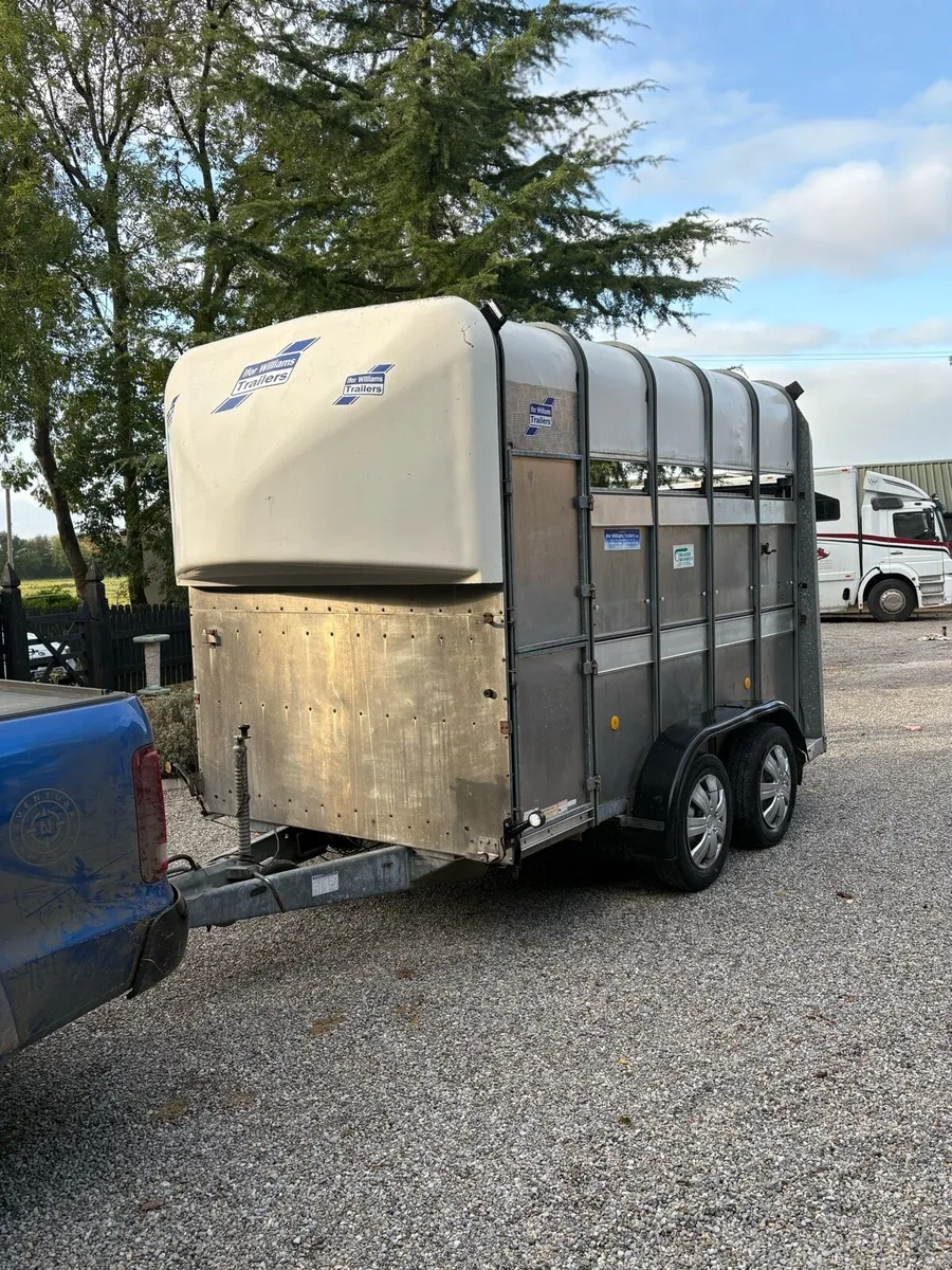 Immaculate Ifor williams high roof - Image 2