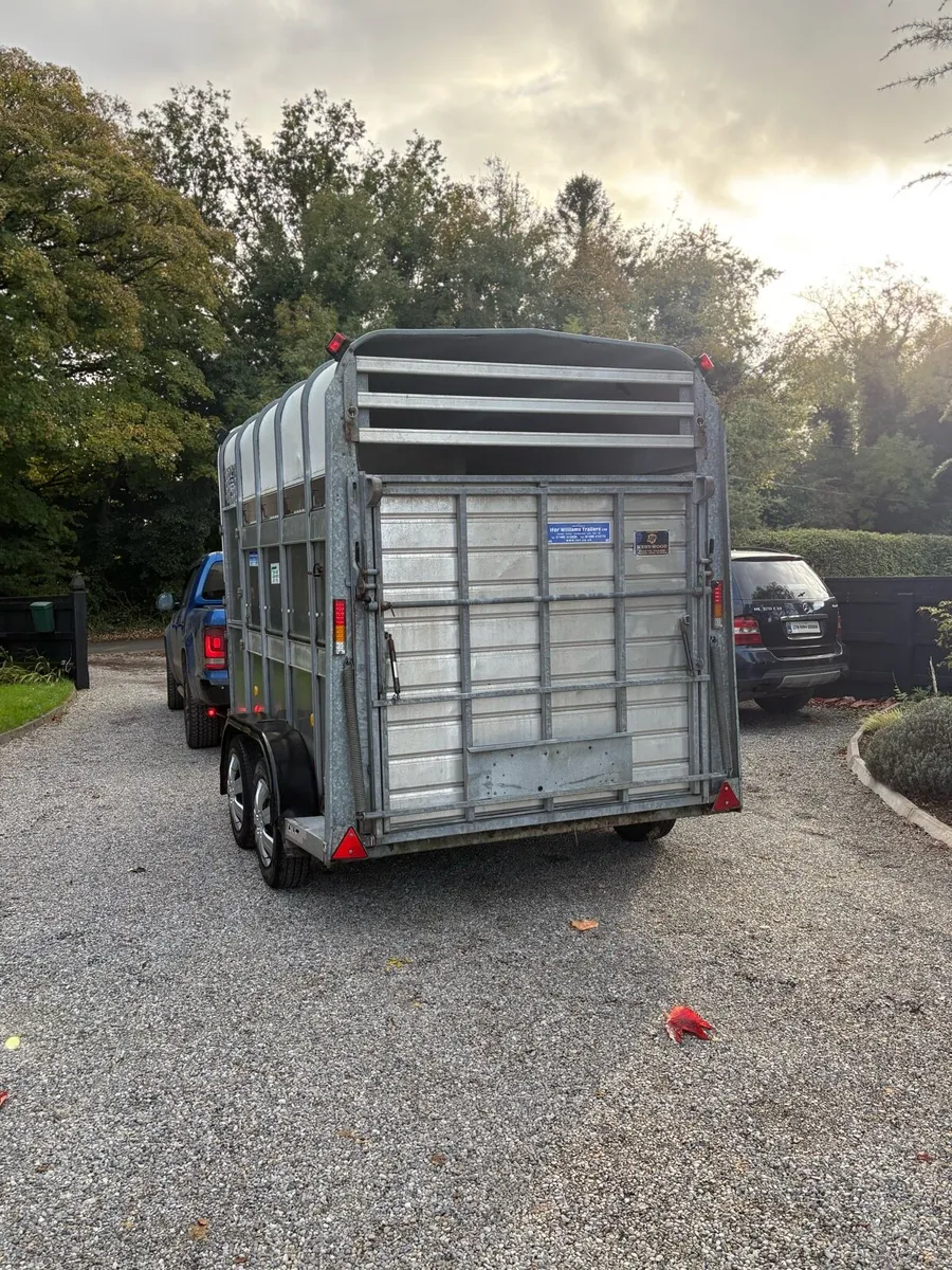 Immaculate Ifor williams high roof - Image 3