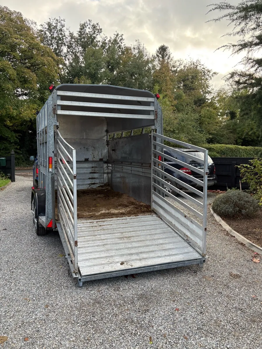Immaculate Ifor williams high roof - Image 4