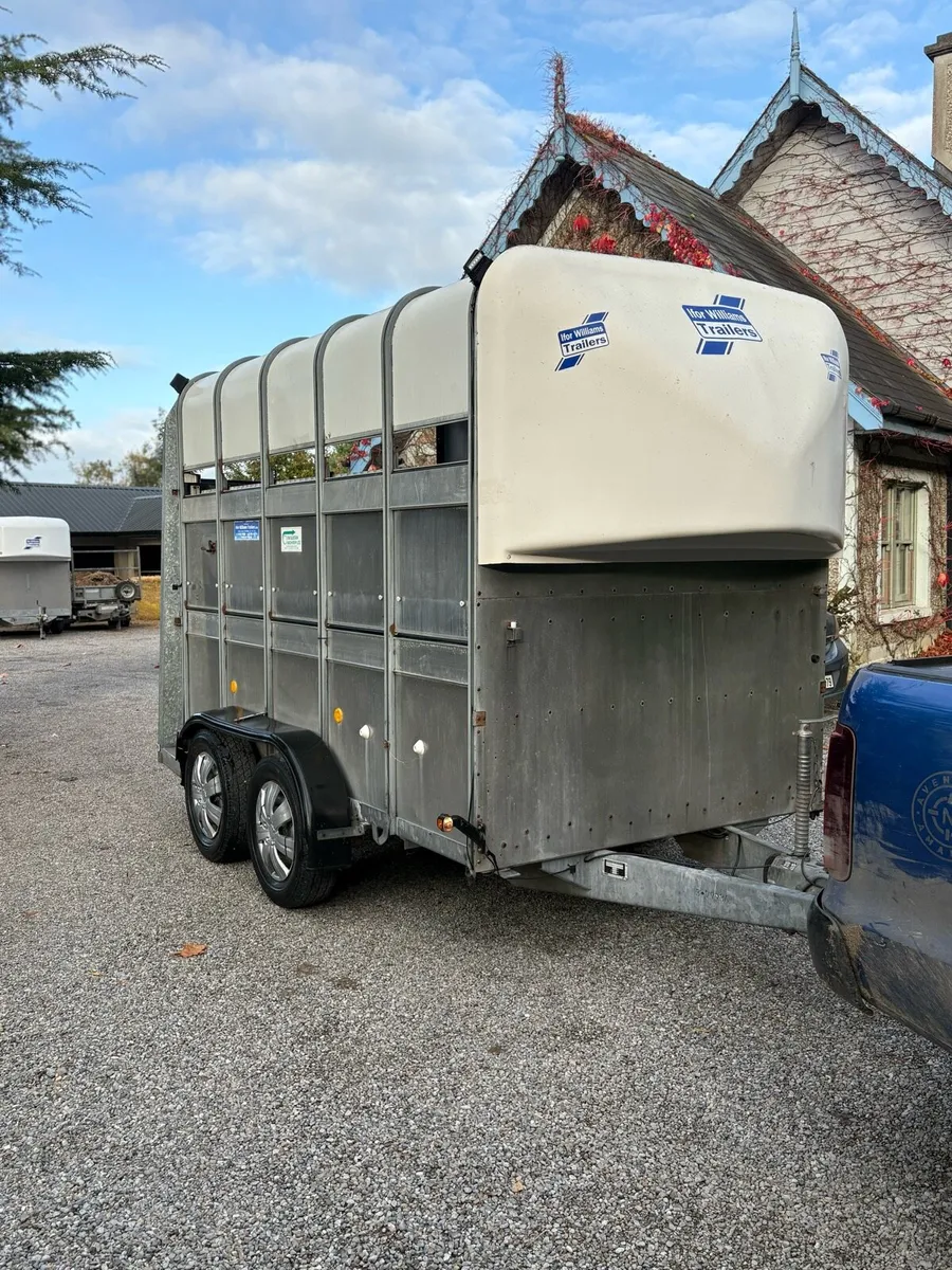 Immaculate Ifor williams high roof - Image 1