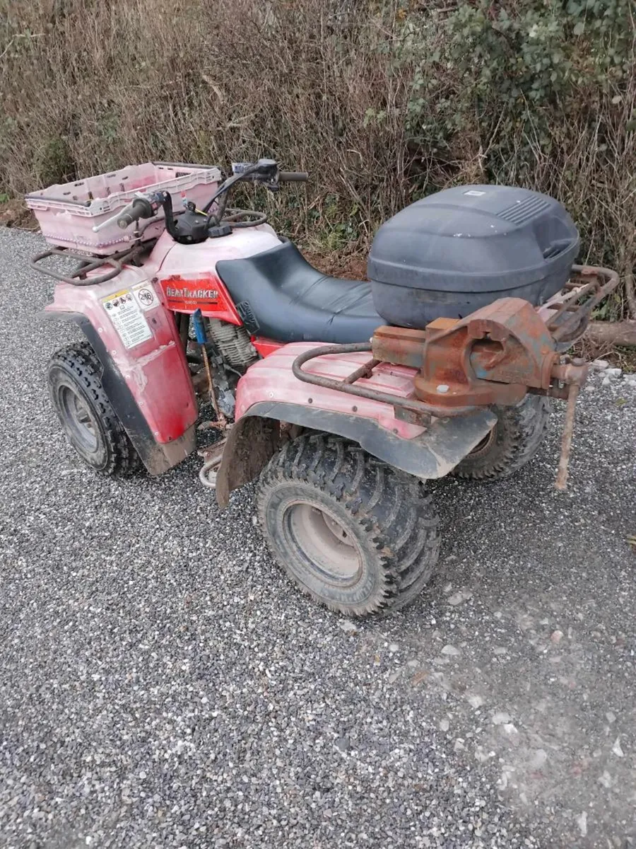 Yamaha 250 quad - Image 1