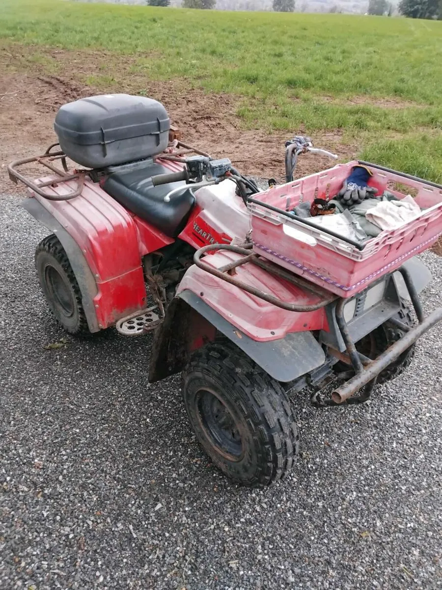 Yamaha 250 quad - Image 3
