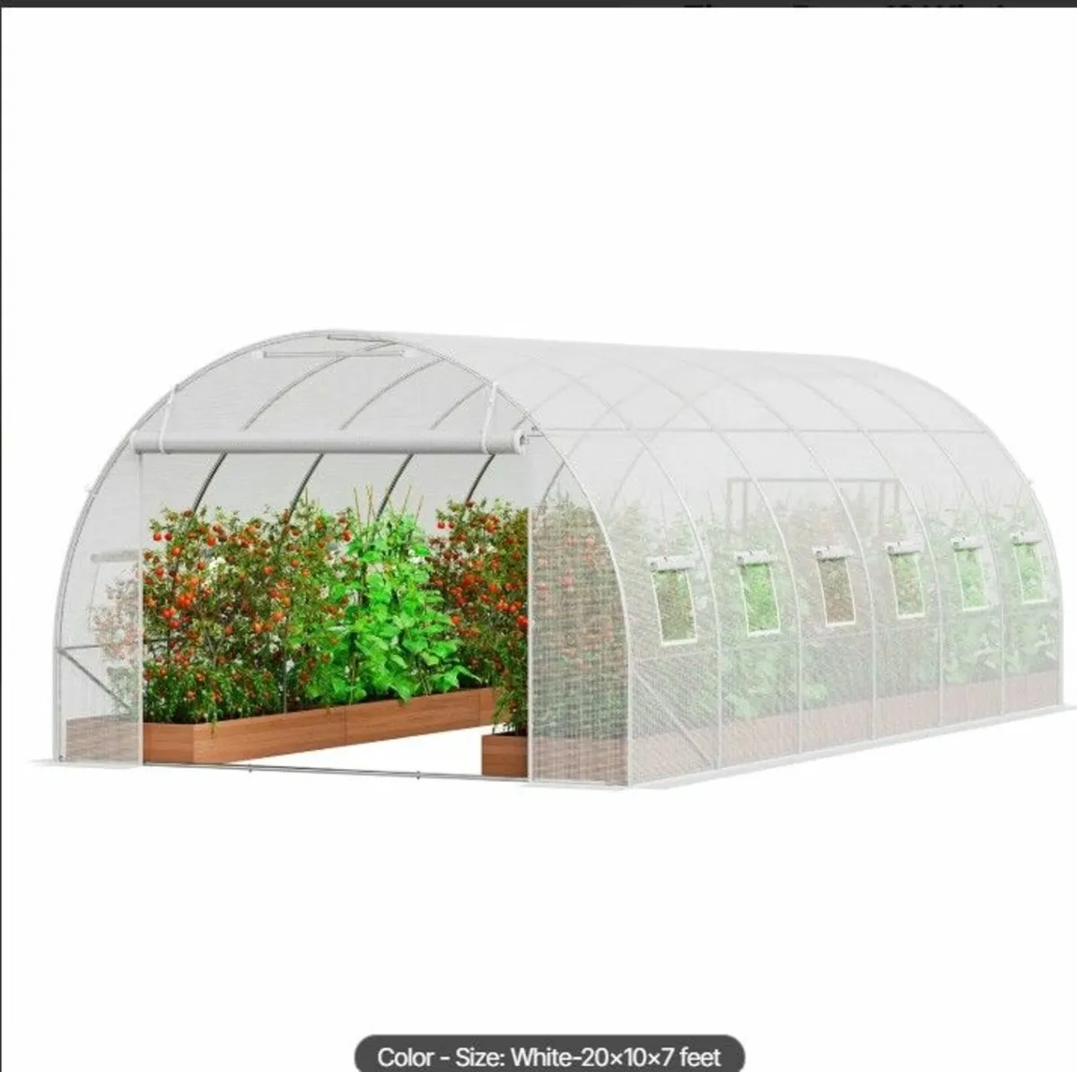 Walk-in Tunnel Greenhouse Polytunnel Galvanized Fr - Image 4