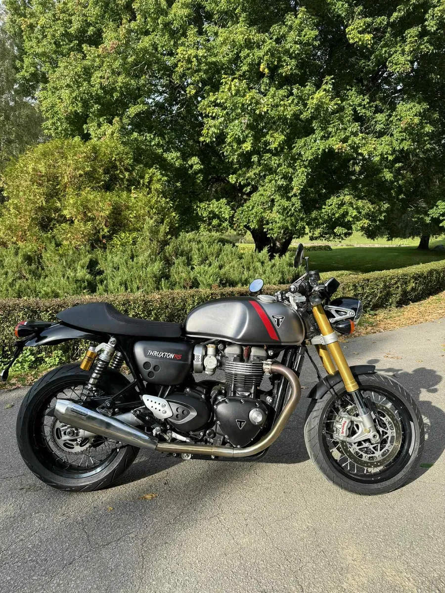 Triumph - Image 1