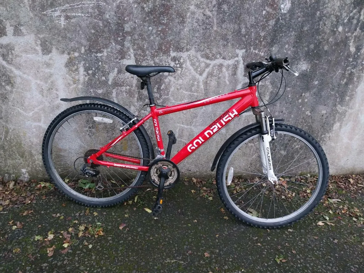 Mountain bike - Image 1