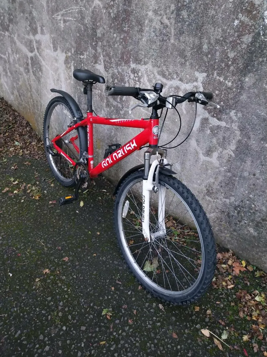 Mountain bike - Image 2
