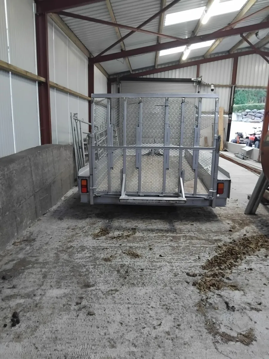 Plant Trailer 12ft - Image 4